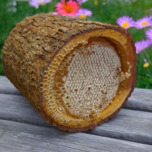 Karakovan Kütük Peteği