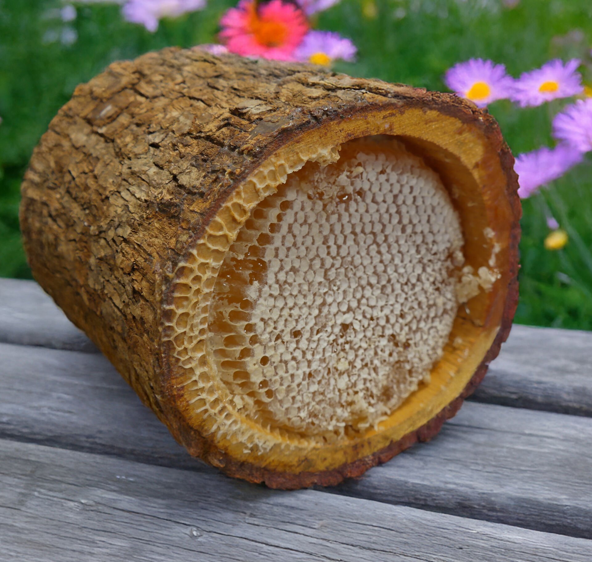 Karakovan Kütük Peteği